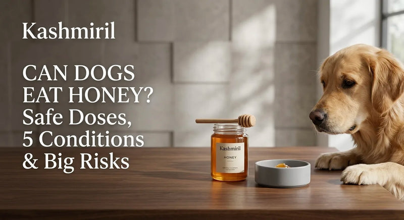 Curious golden retriever eyes a Kashmiril honey jar and bowl on a wooden table. Blog title: CAN DOGS EAT HONEY? Safe Doses, 5 Conditions & Big Risks