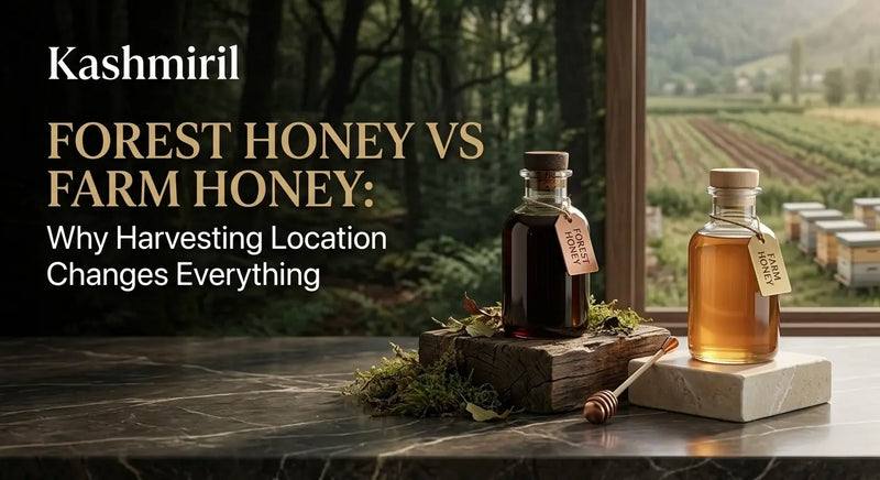 FOREST HONEY VS FARM HONEY: Why Harvesting Location Changes Everything. Dark forest honey and light farm honey bottles with dipper.