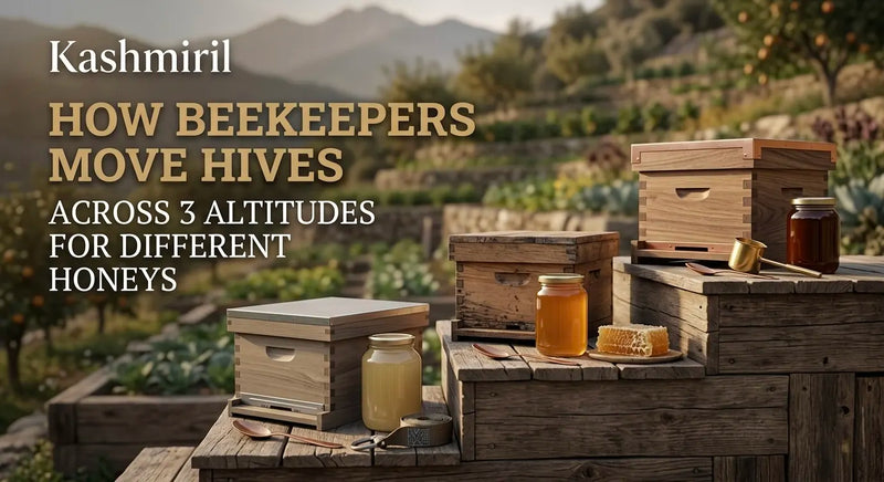 Kashmiril - HOW BEEKEEPERS MOVE HIVES ACROSS 3 ALTITUDES FOR DIFFERENT HONEYS. Wooden beehives, honey jars, and honeycomb on rustic platform with blooming orchard and mountain landscape.