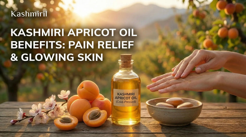 Kashmiri Apricot Oil Benefits: Cold-pressed apricot oil bottle with fresh Kashmiri apricots, kernels, and blossoms on wooden surface with hands applying oil in mountain orchard background.
