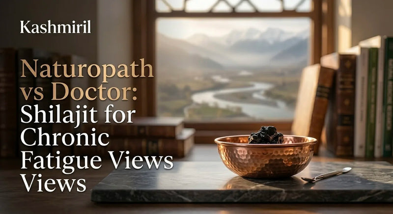 Naturopath vs Doctor: Shilajit for Chronic Fatigue Views Views - Shilajit in a copper bowl by a scenic mountain window.