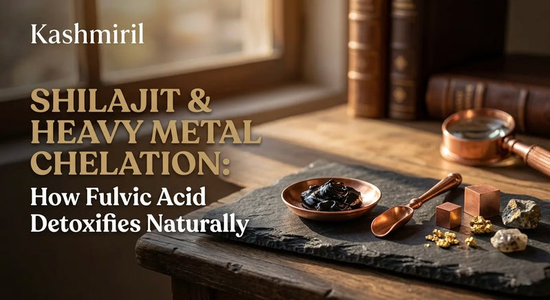Shilajit & Heavy Metal Chelation: How Fulvic Acid Detoxifies Naturally. Shilajit resin, copper spoon, and raw minerals.