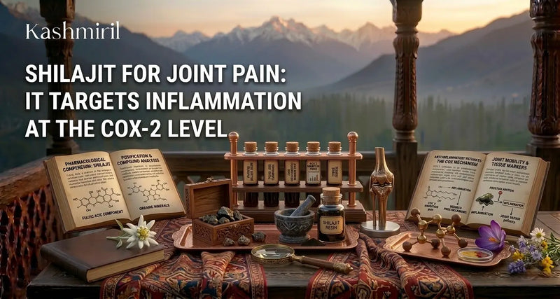 Shilajit for Joint Pain: It Targets Inflammation at the COX-2 Level. Kashmiril resin and lab study in the Himalayas.