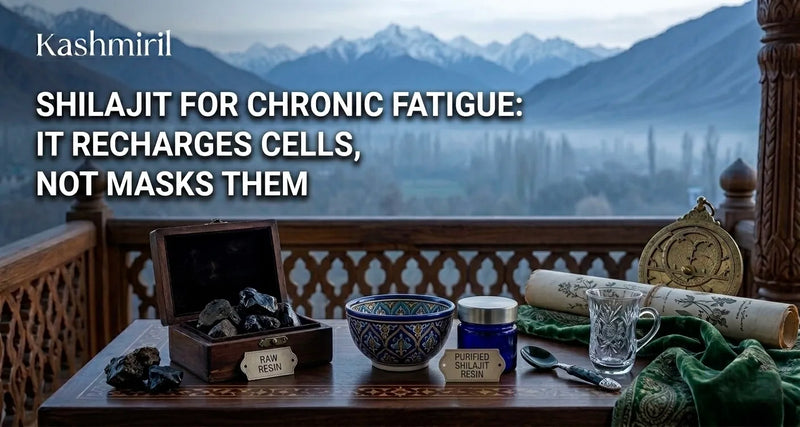 Shilajit for chronic fatigue: raw resin and purified Shilajit jar on a Kashmiri table with Himalayan mountain backdrop