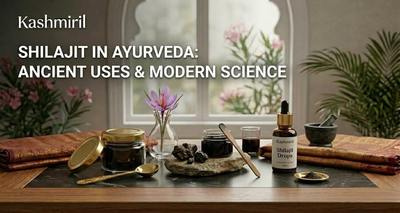 Kashmiril Shilajit resin jar, drops bottle, and raw rocks on marble — Shilajit in Ayurveda: Ancient Uses & Modern Science