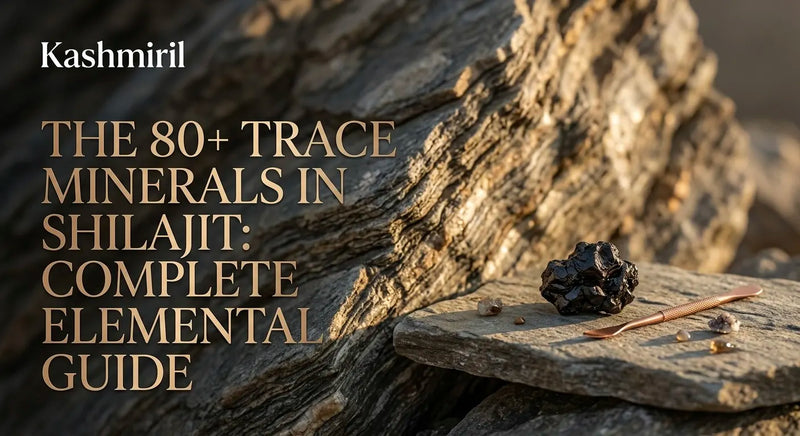 The 80+ Trace Minerals in Shilajit: Complete Elemental Guide - Raw shilajit resin and a copper spoon on natural stone.