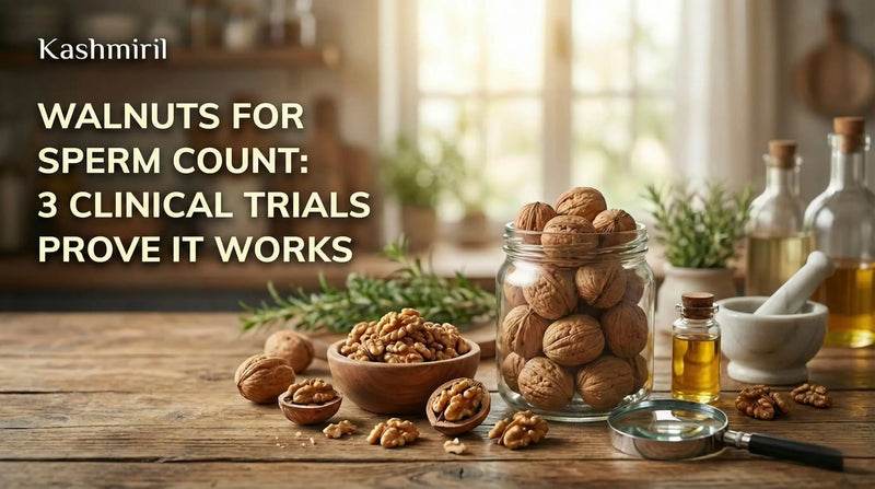 Premium Kashmiri walnuts displayed in a glass jar and wooden bowl on a rustic table with a magnifying glass, featuring the title "Walnuts for Sperm Count: 3 Clinical Trials Prove It Works" by Kashmiril.