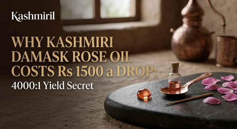 Why Kashmiri Damask Rose Oil Costs Rs 1500 a Drop: 4000:1 Yield Secret. Vial of Damask rose oil & rose petals.