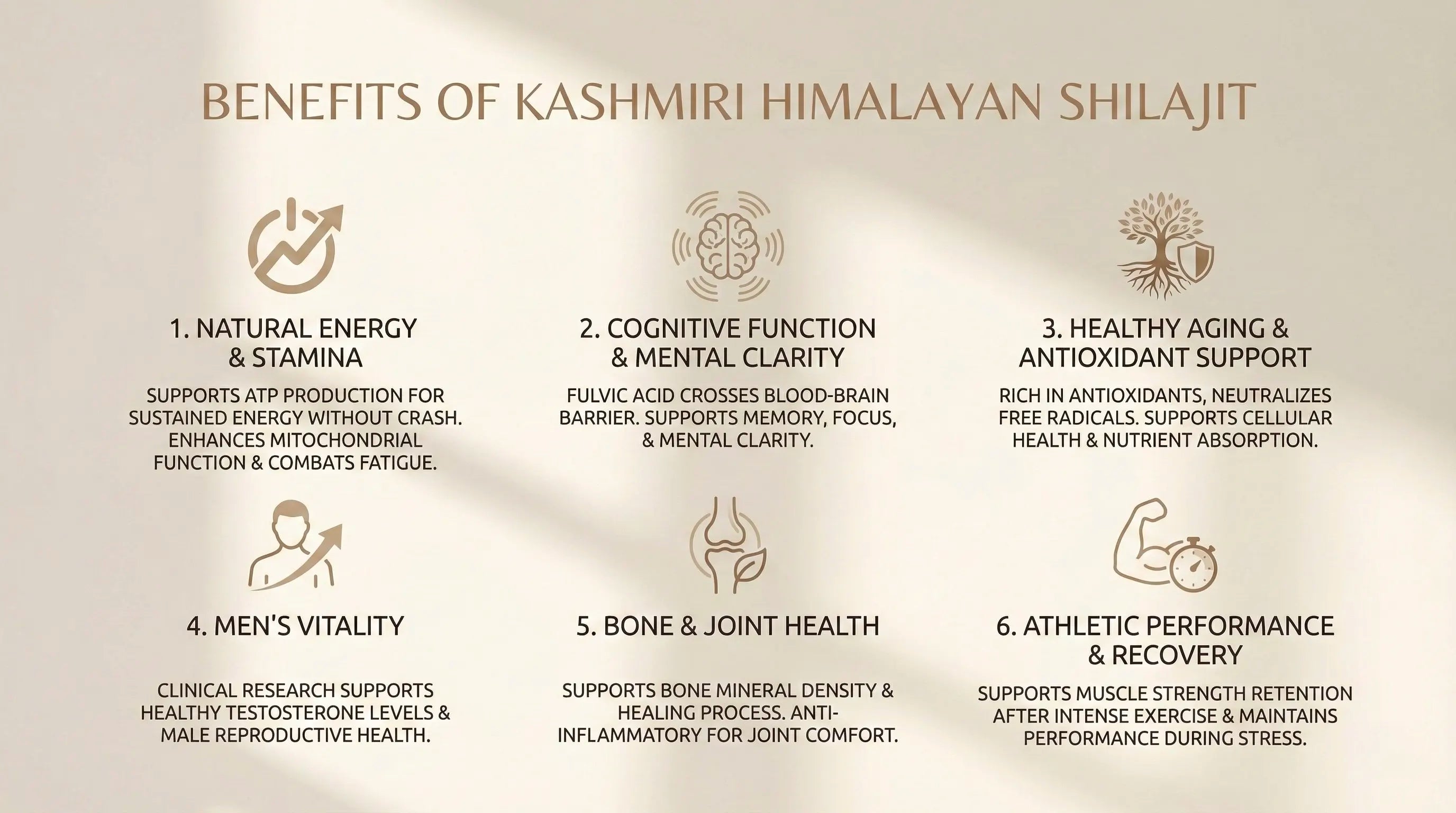 List of benefits of Kashmiri Himalayan Shilajit on a beige background